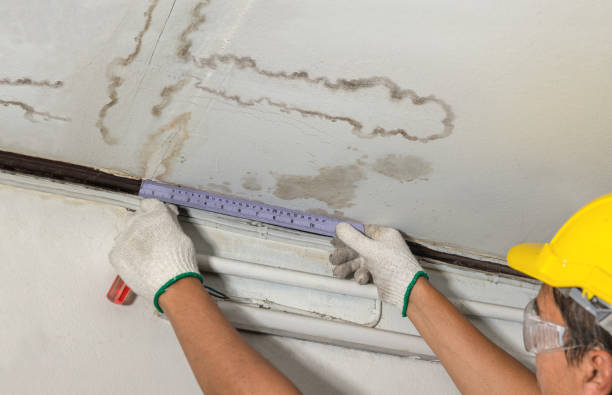 Affordable Water Damage Repair solutions in Campton, NH